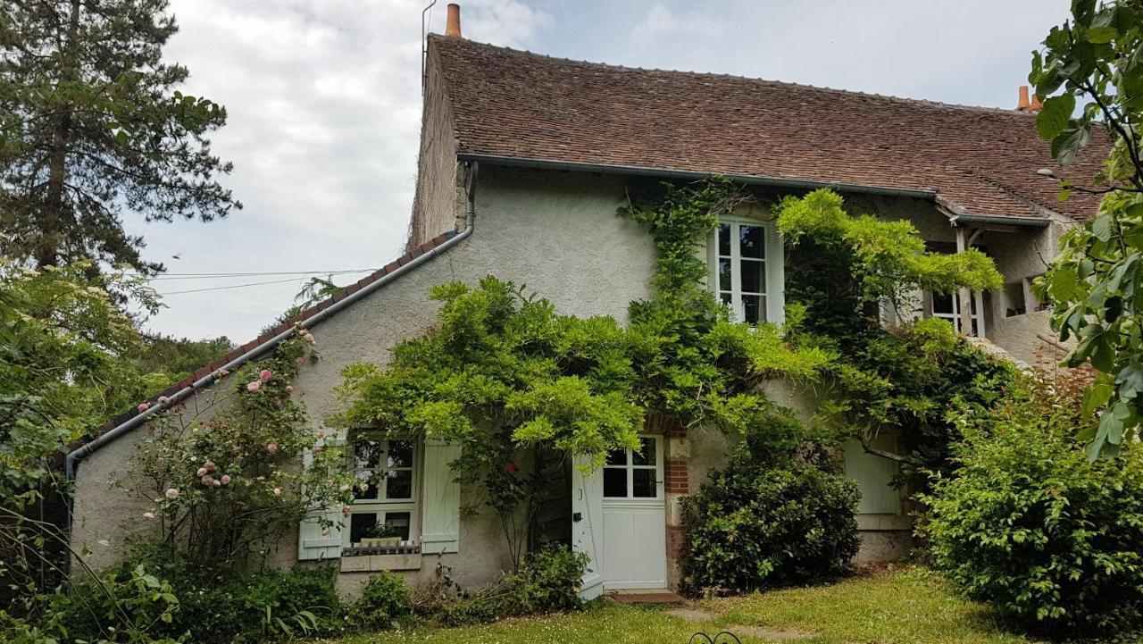 Chambres D'Hotes Les Renardieres Molineuf Exterior foto